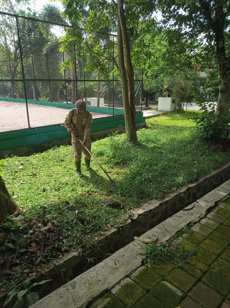 Tim kebersihan melakukan Pembabadan Rumput Awal Tahun di Lingkungan Universitas Pendidikan Indonesia