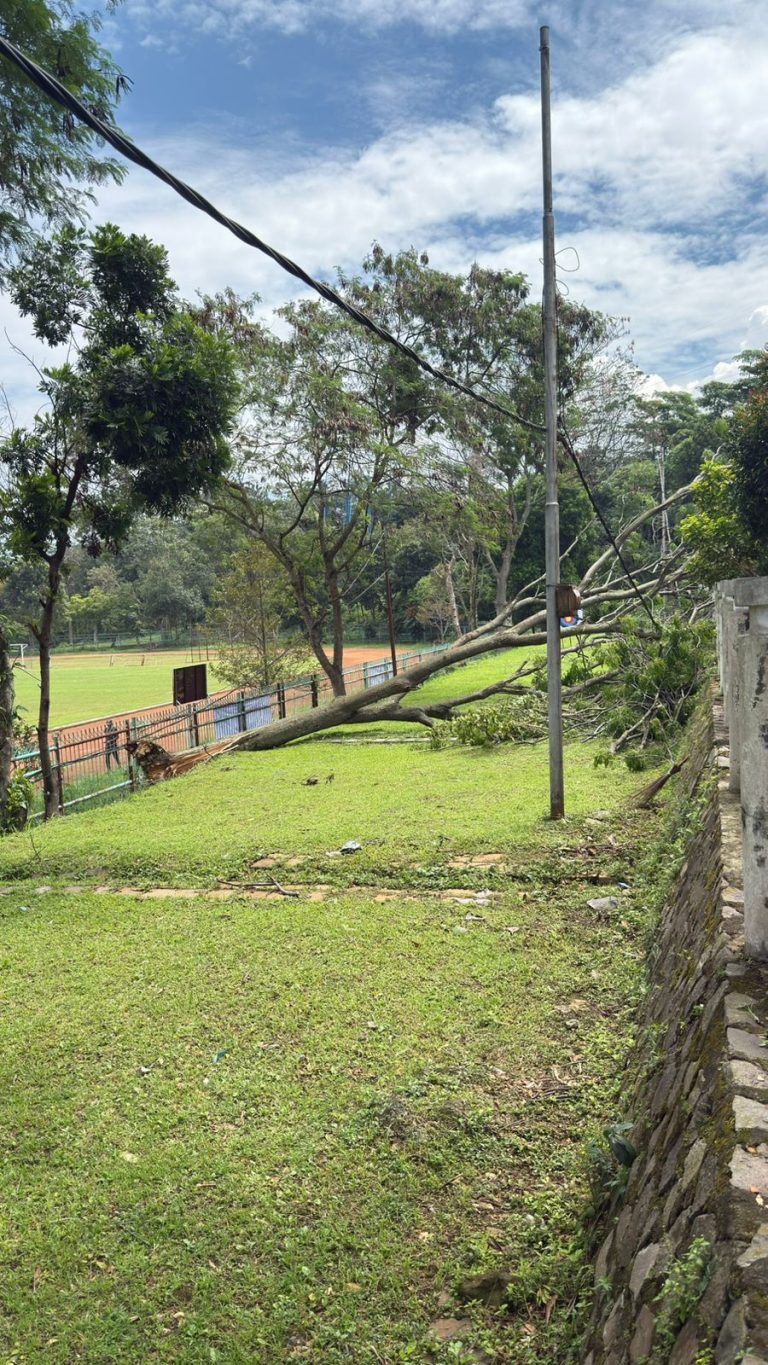 Pengecekan Kabel Listrik Tertimpa Pohon Tumbang di Area Lapangan Panahan