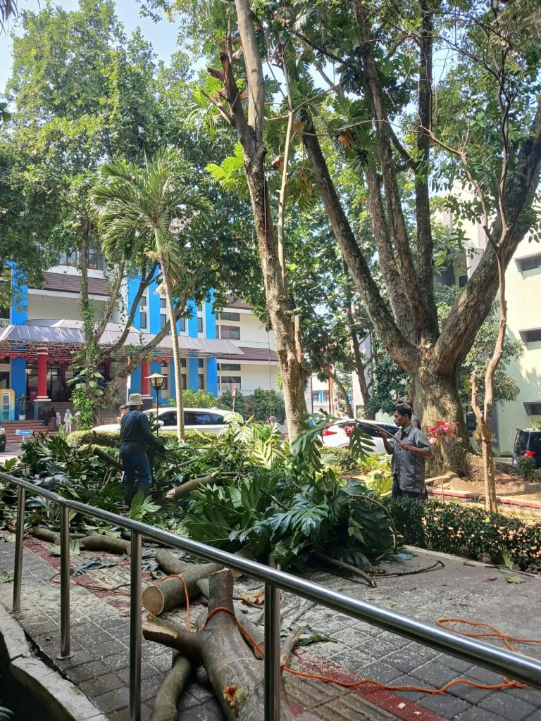 Penataan Pohon di Lingkungan UPI